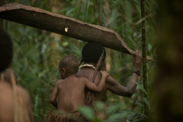 A woman carries a bark of the Sago tree, which she uses to wash the sago powder